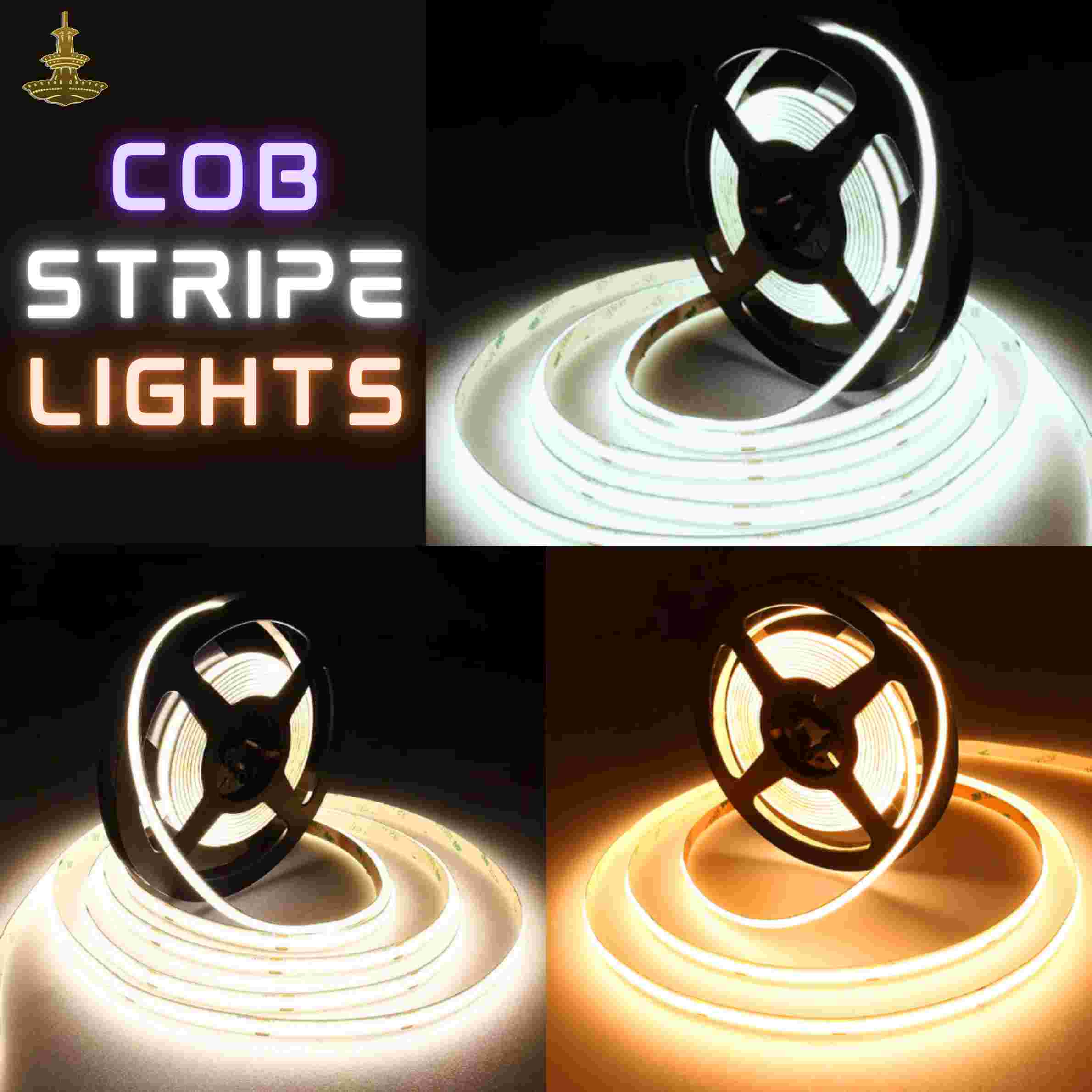 COB Strip Lights-5M - Image